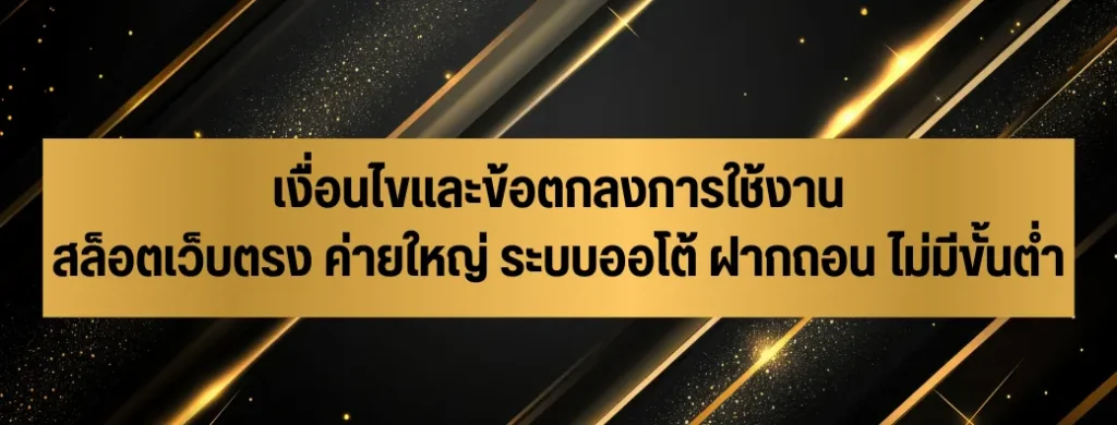 เงื่อนไขและข้อตกลงการใช้งาน